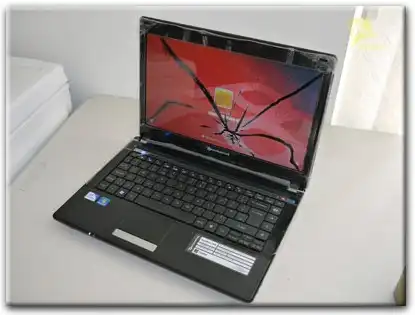 Замена матрицы Packard Bell в Челябинске